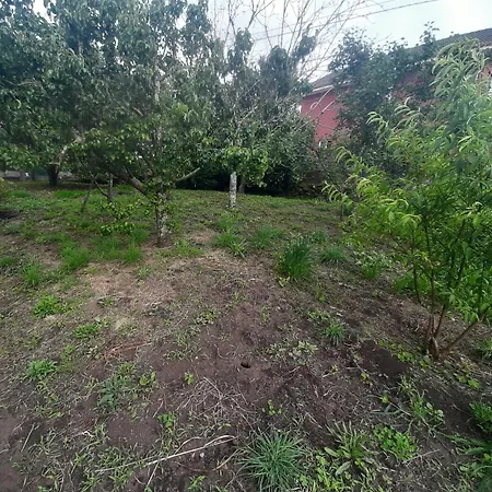 Agro Da Fonte- *