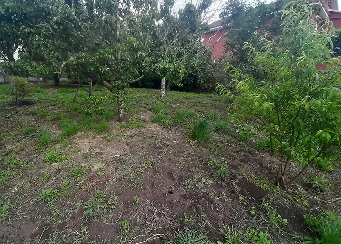 Agro Da Fonte- *